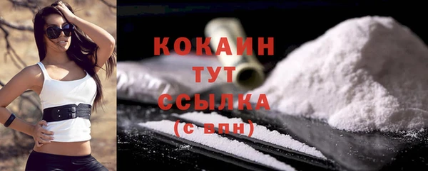 индика Тобольск