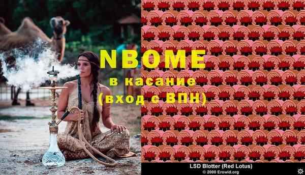 индика Тобольск