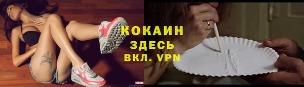 индика Тобольск
