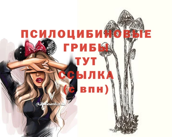 мдма Горно-Алтайск