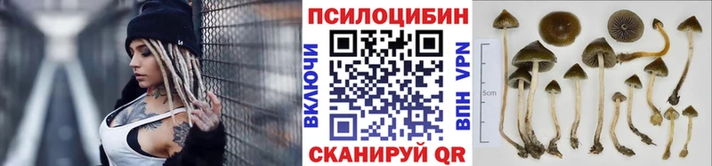 kraken маркетплейс  Жирновск  Псилоцибиновые грибы ЛСД 